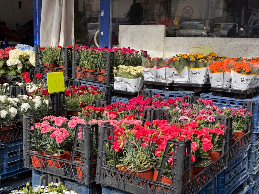 Outdoor display of various potted flowering plants arranged in black plastic crates at a flower shop. The plants include pink, red, white, yellow, and orange blossoms, with some wrapped in white packa