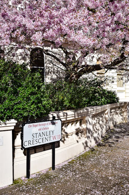 A floral arrangement of fresh flowers displayed at a flower delivery service near South Kensington Station featured in the image includes a bouquet of vibrant pink and white roses, complemented by spr