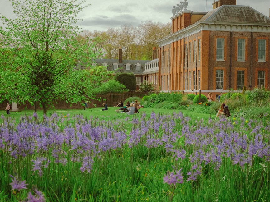 A vibrant garden scene featuring a large, lush green tree with fresh, bright leaves and a bed of blooming purple flowers in the foreground. In the background, there is a historic red-brick building wi